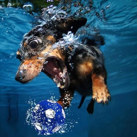 Woofy Sound Ball Toy for Dogs